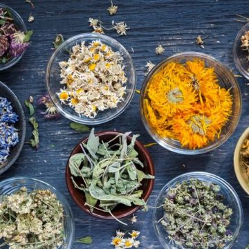 Herbs
